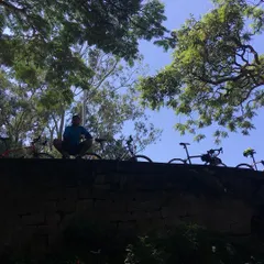 A rider taking a moment to soak in the view from the top, with the bikes lined up along the wall.
