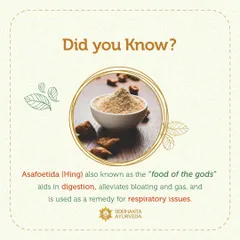 Asafoetida, or Hing, is known in Ayurveda as the "food of the gods." It is a potent remedy that aids digestion, alleviates bloating and gas, and is also used for certain respiratory conditions.