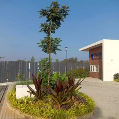 The completed entrance for a new development, designed to be welcoming and professional. I used a combination of a central feature tree, colorful cordyline plants, and low-maintenance ground cover to create immediate visual impact.