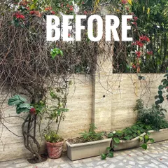 This area was overgrown and needed a complete refresh. We decided to clear it out to make way for a structured, cleaner look.