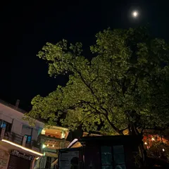 The night sky over Rishikesh. This sacred town encourages self-reflection, paving the way for emotional, mental, and physical release. I feel blessed to travel here every few months to return to and remember myself.