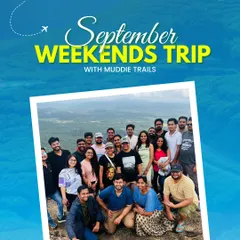 This could be you and your new travel fam. Most people join our trips solo and leave with a phone full of new contacts and memories. Here's our crew taking in the view from a mountain top.