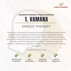 An introduction to Vamana, or emesis therapy, the first step in Panchakarma. This process is highly effective for expelling excess Kapha dosha and clearing impurities from the upper respiratory tract and stomach.