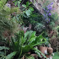 A closer look at the rich textures we used to create our "wild forest" vibe. We layered a variety of ferns, palms, and leafy plants in rustic terracotta and earthenware pots, adding candles to create a warm, inviting, and densely green corner for guests to discover.