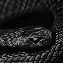 A black cobra sketch on black paper, using white and grey pencils to create the highlights. The challenge was to define the shape and texture of the scales using only light on a dark surface.