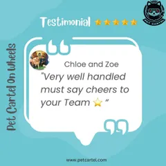 "Very well handled must say cheers to your Team." We're proud of our team's ability to handle every pet with skill and patience, as this review for Chloe and Zoe shows.