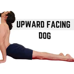 Urdhva Mukha Svanasana, or Upward-Facing Dog, is a powerful backbend that opens the chest and energizes the mind. It requires arm strength and a flexible spine.