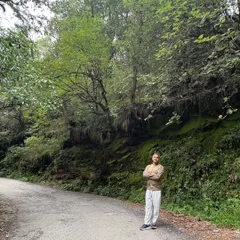 Standing on a quiet road surrounded by the forest. The eldest trees are our teachers, reminding us of what it means to be connected to all life on Earth.