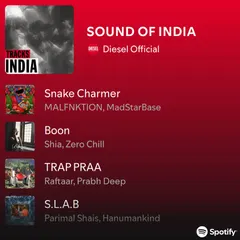 A look at the "SOUND OF INDIA" playlist I curated for Diesel on Spotify. I was able to spotlight amazing local artists like MALFNKTION, Prabh Deep, and Hanumankind.