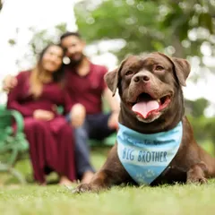 Welcoming a new baby is a journey for the whole family, including your first furry child. I specialize in maternity sessions that honor your pet's role as the original baby and soon-to-be big brother, capturing the anticipation and love that fills your home.