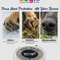 Your pet's paws go through a lot, from hot pavement in the summer to cold, frosty ground in the winter. This Yuup! Paw Balm is a 100% natural solution I trust to protect and heal cracked paws and dry noses. It's a must-have for keeping your furry friend comfortable all year round.