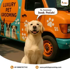 Your pets know what's best! This happy Labrador is giving his humans a clear message: book a session with Petish for the best grooming experience.