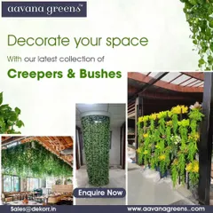 Decorate your space with our latest collection of creepers and bushes. This collage shows how they can be used to cover pillars, create hanging gardens, or design unique wall art.