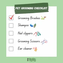 Here is an essential pet grooming checklist for at-home care. Having the right tools like brushes, shampoo, and nail clippers makes the process much easier.
