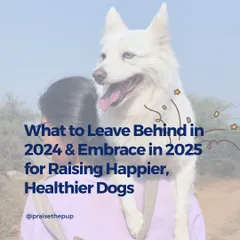 As we move forward, let's reflect on what we can do better for our dogs. This series is about leaving outdated myths behind and embracing a kinder, more informed approach to raising happier, healthier dogs.