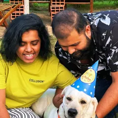 Guests celebrating their dog Cooper's third birthday. The owner is happily placing a birthday hat on the patient Labrador.
