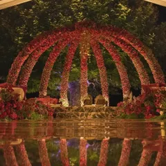 For a truly grand reception, we constructed this magnificent floral dome made entirely of red roses. This is an example of our in-house production capabilities, where we build large-scale, immersive structures that create a dramatic and romantic atmosphere for your big night.