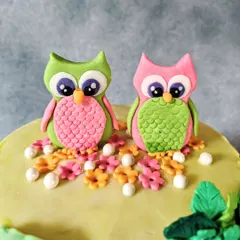 A sweet owl-themed cake I made for twins. I love the pastel green and pink colors of these cute fondant owls, surrounded by tiny flowers.