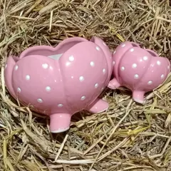 These pink polka-dotted, pumpkin-shaped ceramic planters are perfect for adding a soft, playful touch to your decor. They come in a set of two different sizes.