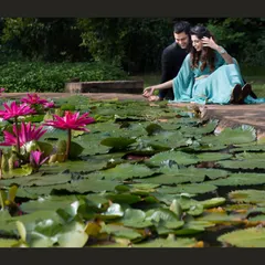 A serene and romantic moment by a lily pond. The natural beauty of the location provides a stunning and peaceful setting for this couple's portrait.