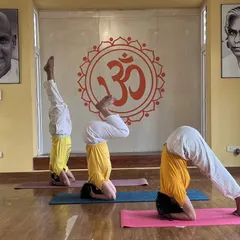 Students in an advanced class practice variations of Sirsasana (Headstand), showcasing the progression and strength developed through dedicated practice.