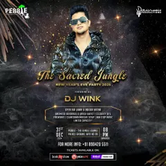 I am the DJ for Bangalore's biggest nights, including this massive New Year's Eve party at Pebble. Booking me means you're getting a DJ trusted to handle the most important celebrations of the year.