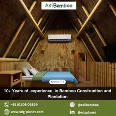 The interior of one of our bamboo cottages reveals a warm and inviting space. The walls, ceiling, and structural beams are all made of bamboo, creating a cohesive and tranquil atmosphere. We have over 10 years of experience in bamboo construction.