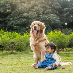 A boy and his Golden Retriever, Ollie, sit patiently during a first birthday cake smash session. Having a furry sibling makes every milestone more memorable.