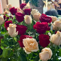 We love playing with color blocking. Here, we're testing a classic combination of red and cream roses to see how they work together in a large arrangement.