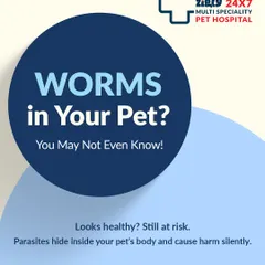 Did you know parasites can hide inside a healthy-looking pet? This infographic explains the silent harm intestinal worms can cause. Regular deworming is a simple and effective preventive measure.