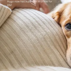 From puppy cuddles to baby snuggles. This is Hugo, feeling the first flutters of his new human sibling. Maternity sessions with pets are so special because we get to celebrate the bond you already have before your family grows by two little feet.