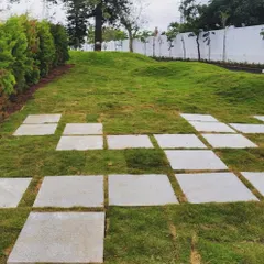 A playful pattern of square stone pavers is scattered across a rolling green lawn. This design breaks up the monotony of the grass and creates an informal, interactive pathway that invites exploration.