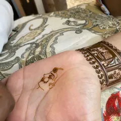 The initial sketch of a royal bride portrait on the palm. Every detailed design starts with a simple, accurate line drawing like this.