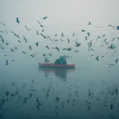 This shot was taken during a foggy morning on the Yamuna Ghat. For me, this image is all about the mood. The single red boat surrounded by birds in the mist creates a quiet, almost painterly scene that tells a story of Delhi's serene side.
