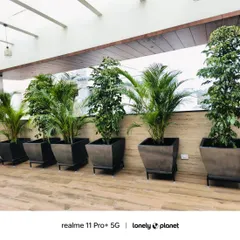 For this covered patio, we used large, grey FRP planters with stands to house tall ficus and palm plants. This arrangement adds height and creates a natural screen, enhancing privacy and adding a touch of the tropics.
