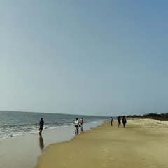 Walking along the shore of the Gulf of Mannar, the children experienced the rhythm of the ocean. These walks were filled with observation and wonder, connecting them to the vastness of the marine environment and the intricate web of life it supports.