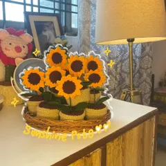 A whole tray of my "Sunshine Pots." These little potted sunflowers are perfect for gifting to your human sunflower or for adding a pop of cheer to your own desk.