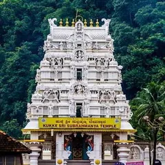 The Kukke Sri Subramanya Temple is a sacred place for performing rituals to overcome Sarpa Dosha. Here, Lord Subramanya is worshipped as the protector of serpents, offering blessings and relief.