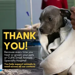 Thank you. Every time you treat or groom your pets at our SASH facility, you help support animals in need across all our centers. It's a sustainable way to give back.