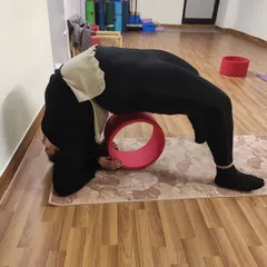 A student uses a yoga wheel to support her back in a deep wheel pose variation. The wheel provides a stable base, allowing for a safer and more profound opening of the thoracic spine.