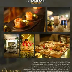 This collage represents our comprehensive gourmet menu and service, from the food carts and drink stations to the elegantly plated appetizers and desserts, all delivered by our expert team.