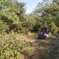 Setting up our gear in the dense scrub of the Aravallis. Every tour feels like joining a research expedition.