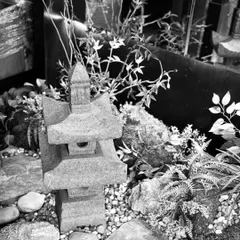 A black and white photo focusing on the timeless Japanese stone lantern. This element is central to the garden's design, providing an authentic and sculptural focal point among the delicate foliage and smooth river stones.