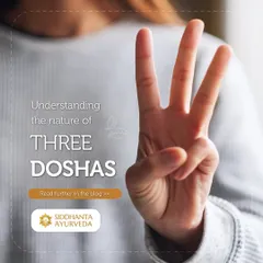 Understanding the three doshas, Vata, Pitta, and Kapha, is key to understanding your unique health needs. This post introduces the core characteristics of each dosha to help you on your journey of self-awareness.