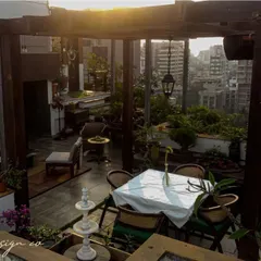 We loved turning this rooftop into a serene terrace space. The design features a wooden pergola, lush greenery including bonsai trees, and multiple seating areas to create a private escape in the middle of the city.