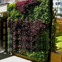 This outdoor living wall features a bold, abstract pattern using blocks of green and deep red foliage. It serves as a piece of living art for the building's entrance.