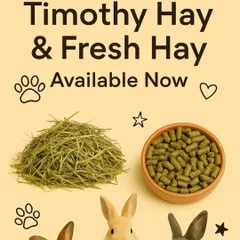 I have fresh Timothy hay and nutritious hay-based pellets available now. You can order online for convenient delivery across Delhi, Noida, Gurugram, and Faridabad.