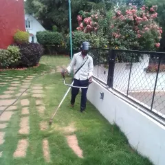 Regular lawn trimming is essential for a tidy garden. This is a typical maintenance visit, ensuring the grass is kept at an optimal height to promote health and prevent weeds.
