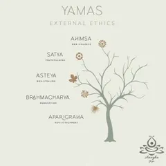 The Yamas are the first limb of yoga, representing the external ethics or restraints we practice in our interactions with the world, including non-violence (Ahimsa) and truthfulness (Satya).