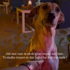 Let's be honest. When I walk home alone at night, it's not the dogs I'm afraid of. This is the reality for so many of us. So tell me again how stray dogs are the biggest threat on our streets.